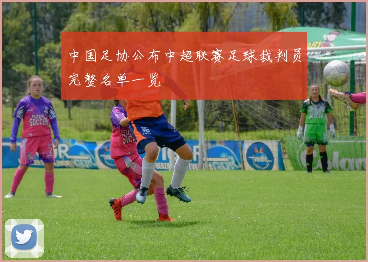 中国足协公布中超联赛足球裁判员完整名单一览